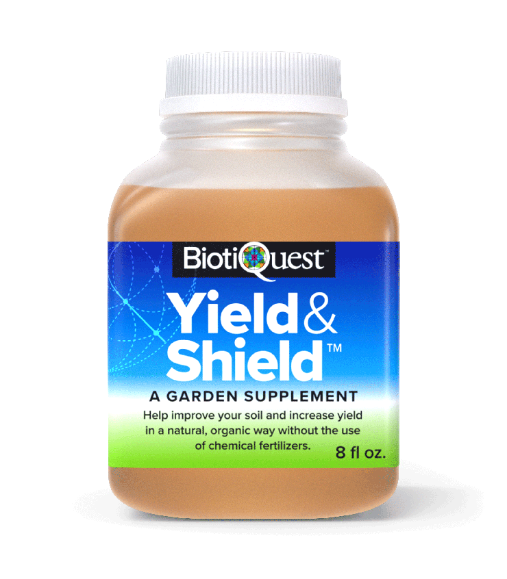 Yield and Shield™